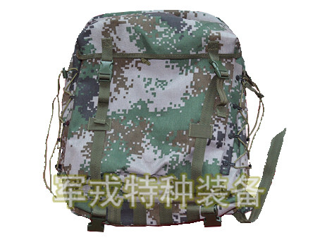 ѵ1